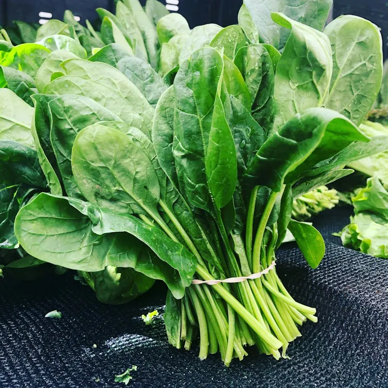 Rau Bó Xôi Hữu Cơ 500g