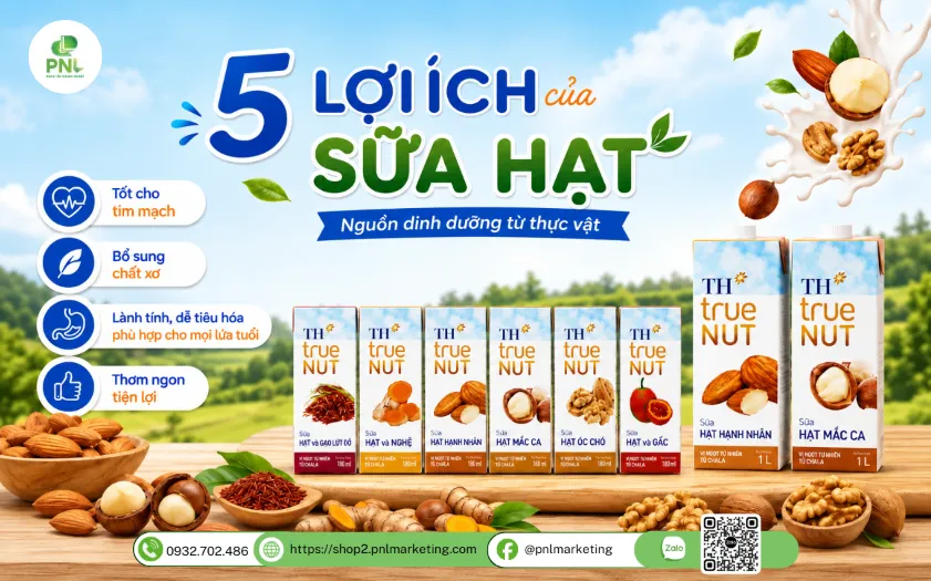 5 Lợi Ích Của Sữa Hạt Bạn Nên Biết