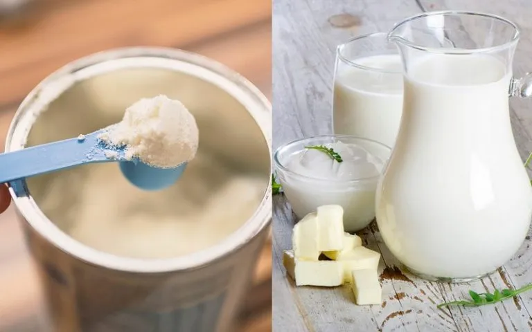 Fresh Milk vs Powdered Milk: Which is Better?